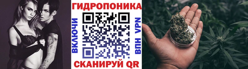 Канабис конопля  купить наркоту  Грязовец 
